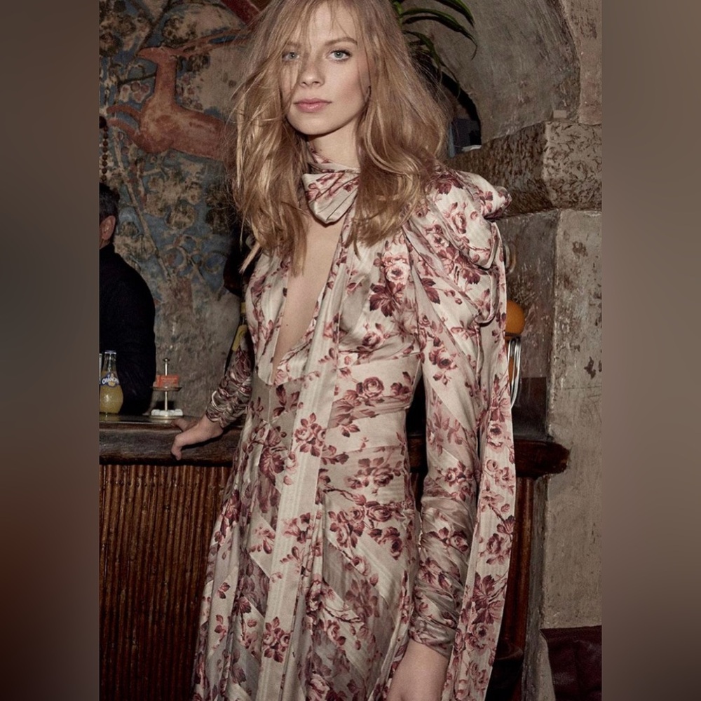 Zimmermann runway dress. - Picture 9 of 10